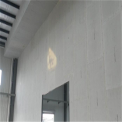 广汉新型建筑材料掺多种工业废渣的ALC|ACC|FPS模块板材轻质隔墙板